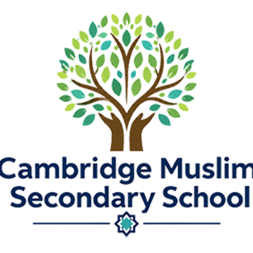 Curriculum